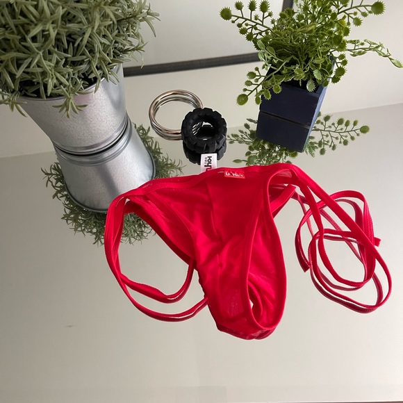 Mens sheer tie briefs